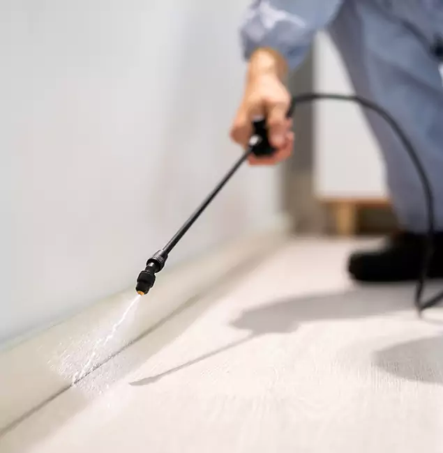 Why Choose Redmond Pest Control Pro for Termite Treatment in Redmond, OR?