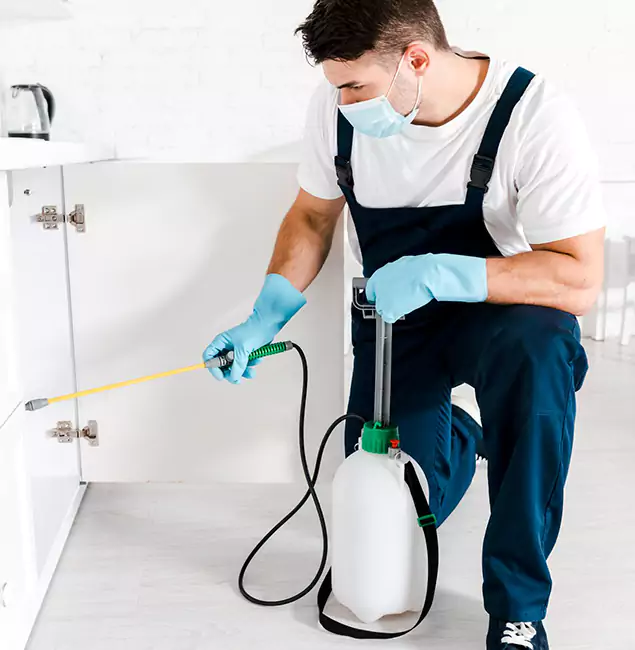 Why Redmond, OR Homeowners Trust Us for German Roach Control?