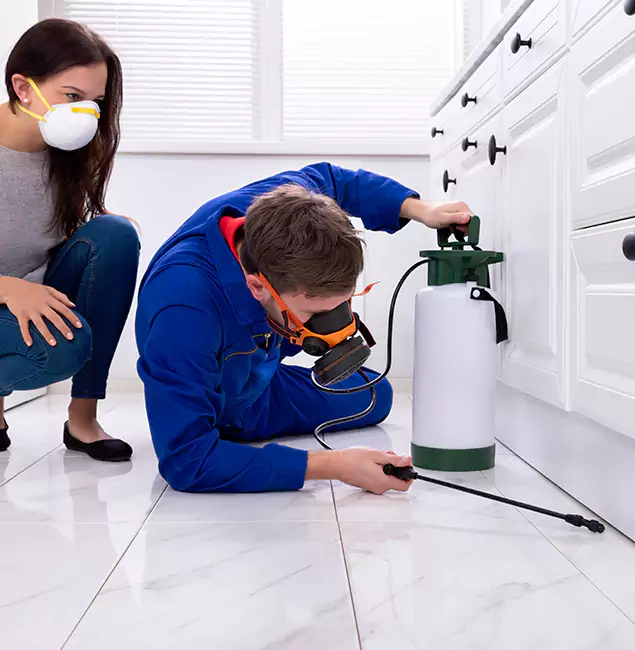 Why Redmond, OR Homeowners Trust Redmond Pest Control Pro for Roach Control?