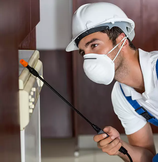 Why Redmond Homeowners Rely on Redmond Pest Control Pro for Tick Treatment?