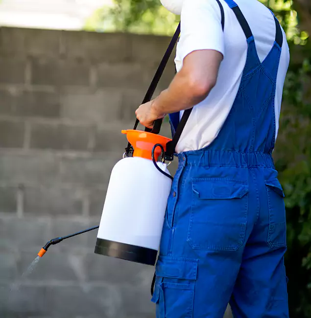 Why Redmond Homeowners Rely on Redmond Pest Control Pro for Mosquito Control?