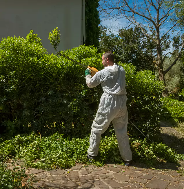 Why Redmond Pest Control Pro Leads Mosquito Control in Redmond, OR?