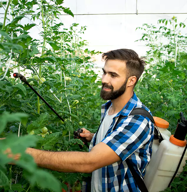 Why Redmond Homeowners Choose Redmond Pest Control Pro for Mosquito Spraying?