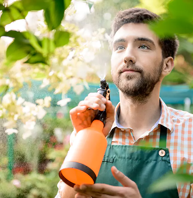 Why Redmond Homeowners Call Redmond Pest Control Pro for Mosquitoes in House?