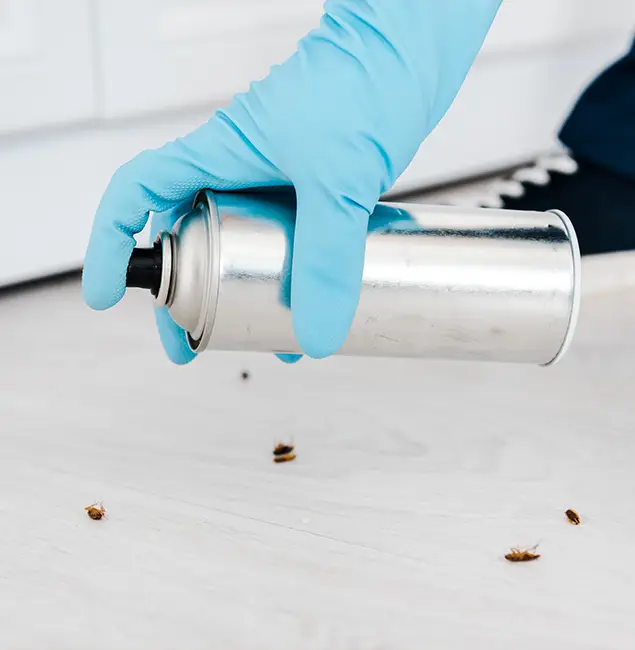 Why Choose Redmond Pest Control Pro for Safe Bed Bug Treatment in Redmond, OR?