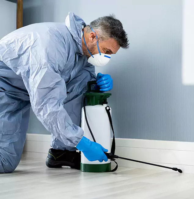 Why Choose Redmond Pest Control Pro for Subterranean Termites Treatment in Redmond, OR?