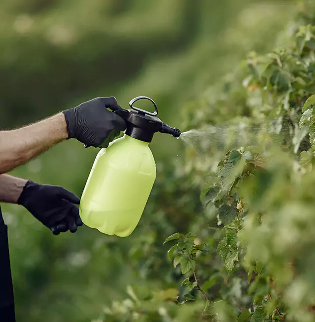 Why Redmond Homeowners Choose Redmond Pest Control Pro for Yard Tick Treatment?