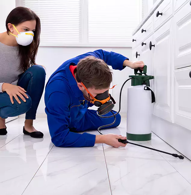 Why Choose Wood Termite Treatment by Redmond Pest Control Pro in Redmond, OR?