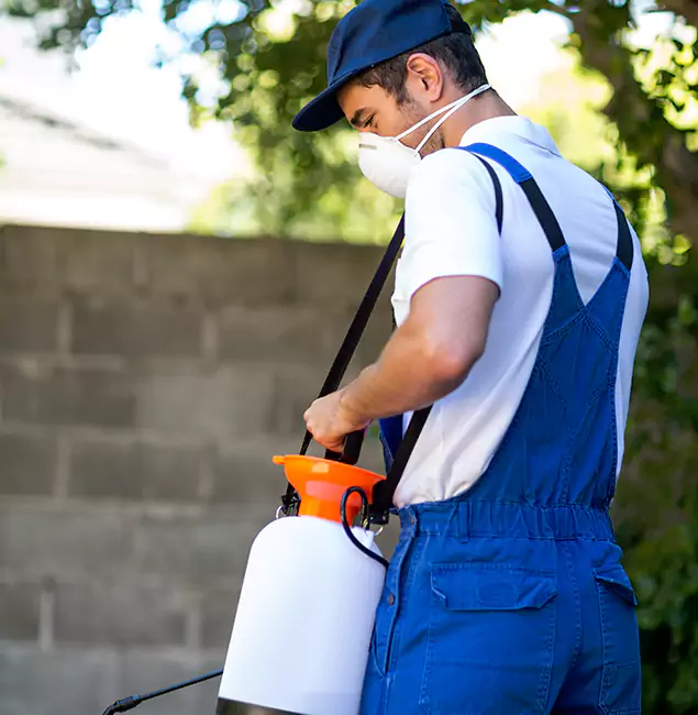 Why Redmond Pest Control Pro Is the Right Choice for Yellow Jacket Removal in Redmond, OR?