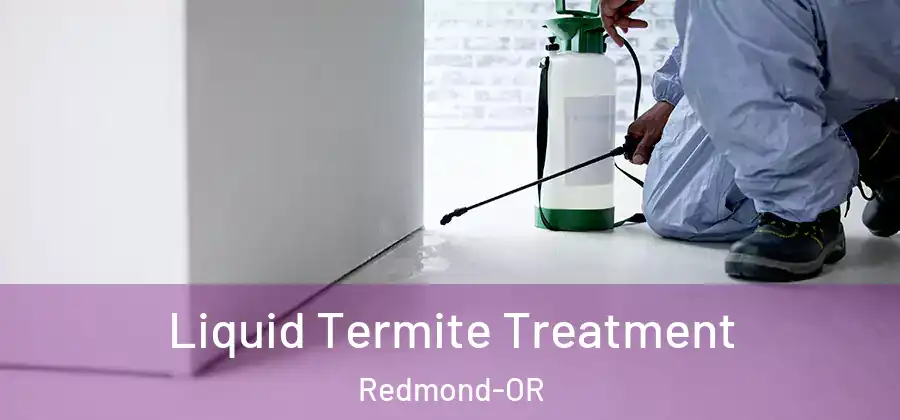 Liquid Termite Treatment Redmond-OR