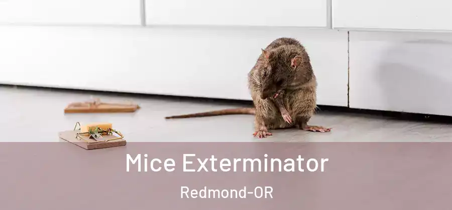 Mice Exterminator Redmond-OR