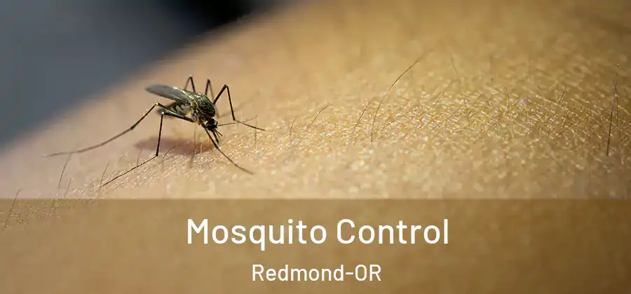 Mosquito Control Redmond-OR