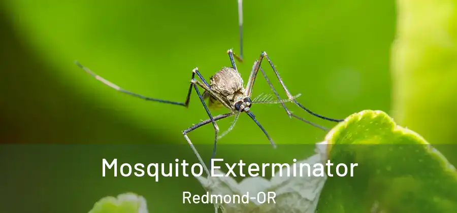 Mosquito Exterminator Redmond-OR
