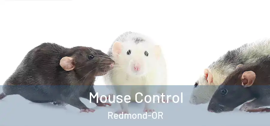  Mouse Control Redmond-OR