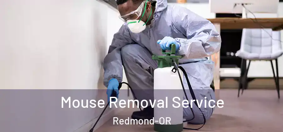 Mouse Removal Service Redmond-OR