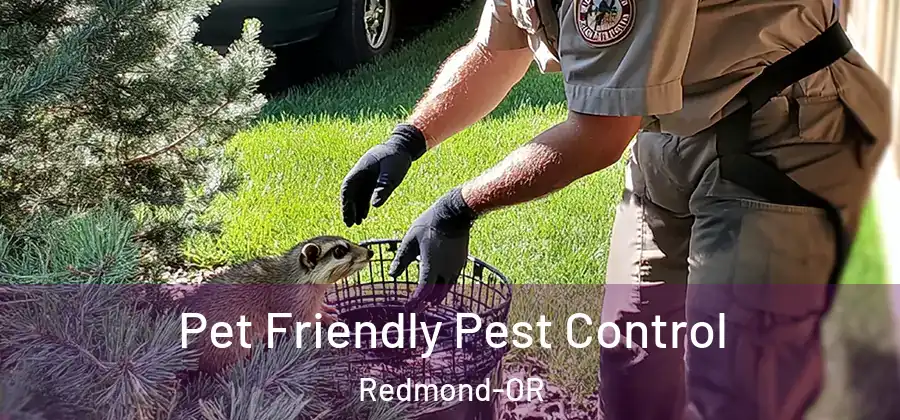Pet Friendly Pest Control Redmond-OR