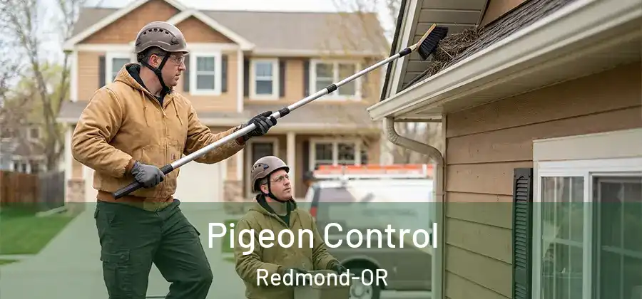 Pigeon Control Redmond-OR