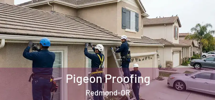 Pigeon Proofing Redmond-OR