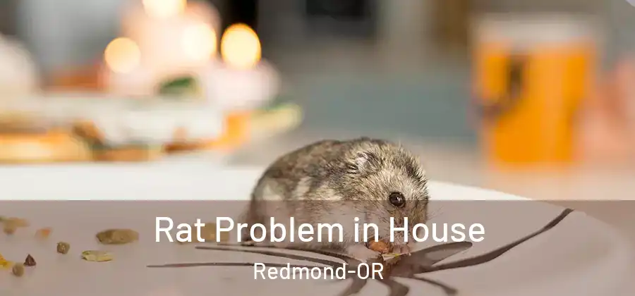 Rat Problem in House Redmond-OR