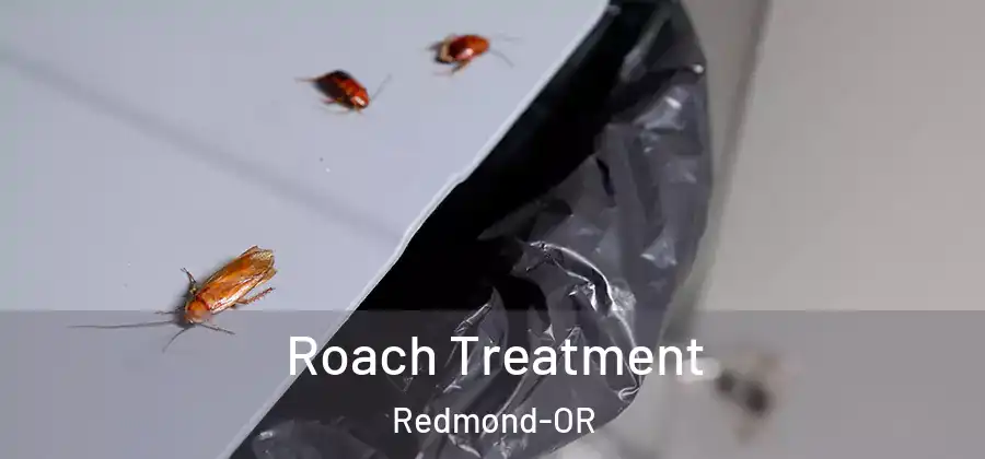 Roach Treatment Redmond-OR