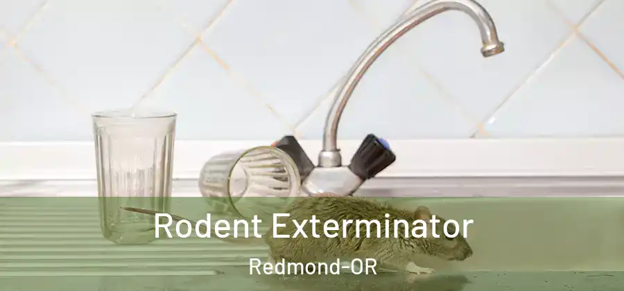 Rodent Exterminator Redmond-OR