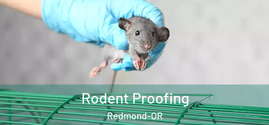  Rodent Proofing Redmond-OR