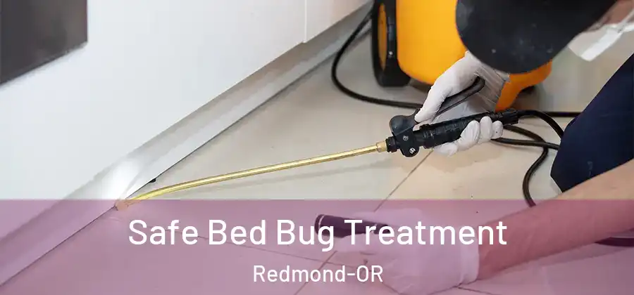 Safe Bed Bug Treatment Redmond-OR