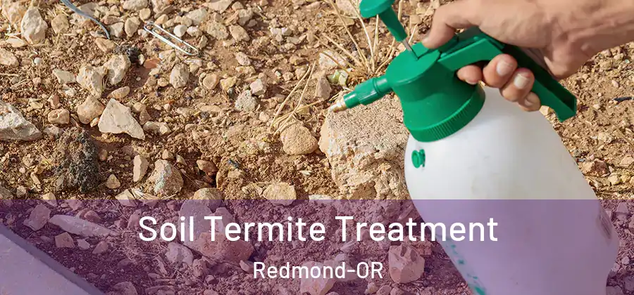 Soil Termite Treatment Redmond-OR