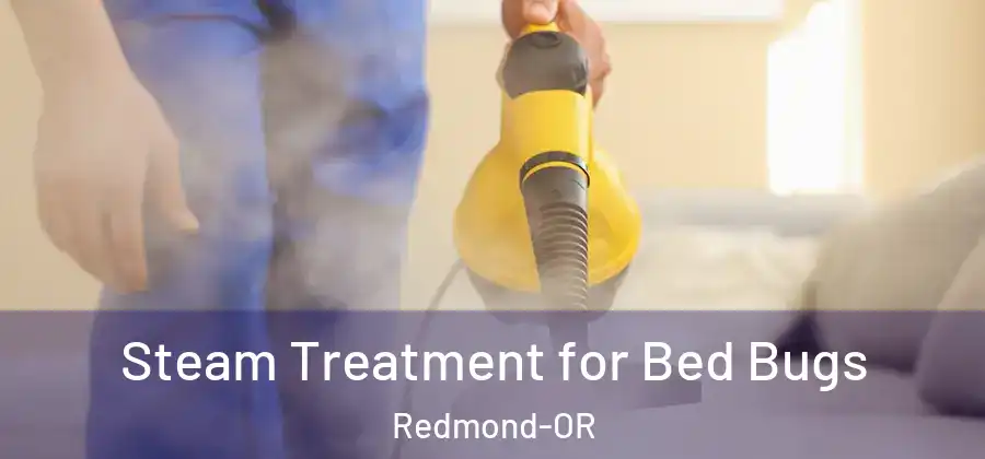 Steam Treatment for Bed Bugs Redmond-OR