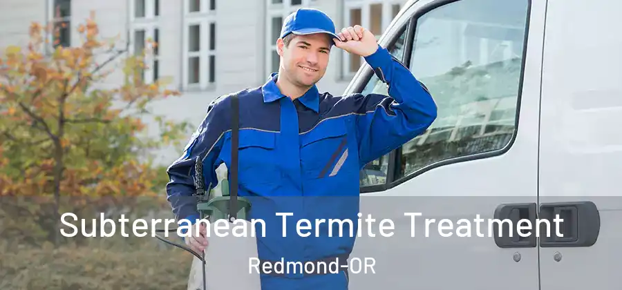 Subterranean Termite Treatment Redmond-OR