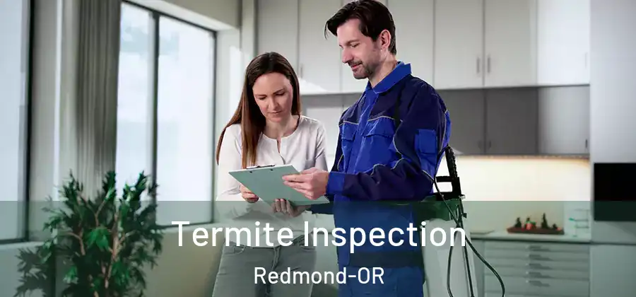 Termite Inspection Redmond-OR