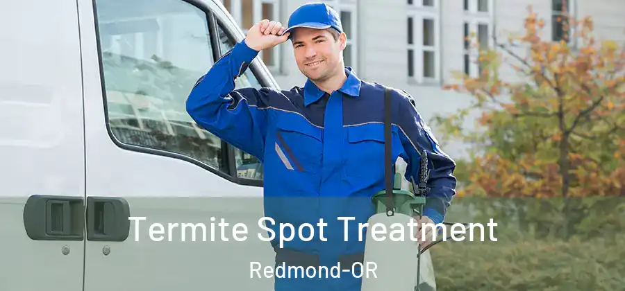 Termite Spot Treatment Redmond-OR