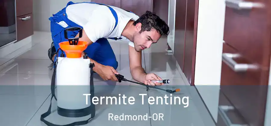 Termite Tenting Redmond-OR