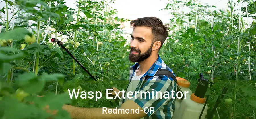 Wasp Exterminator Redmond-OR