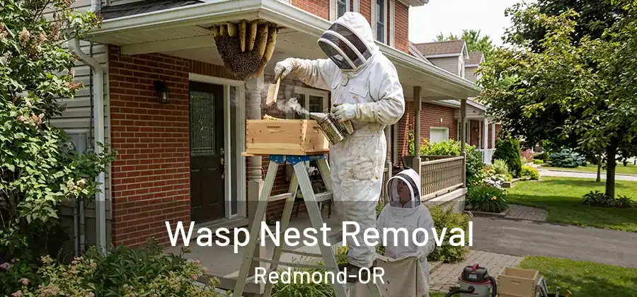 Wasp Nest Removal Redmond-OR