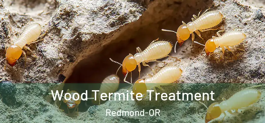 Wood Termite Treatment Redmond-OR