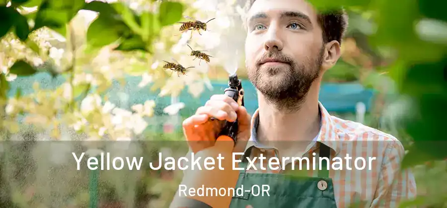 Yellow Jacket Exterminator Redmond-OR